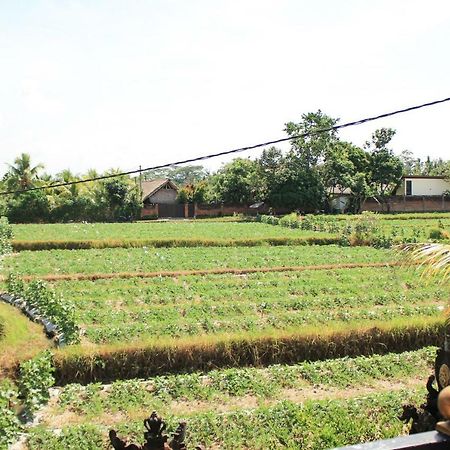 Ancut Sari Hotel อูบุด ภายนอก รูปภาพ