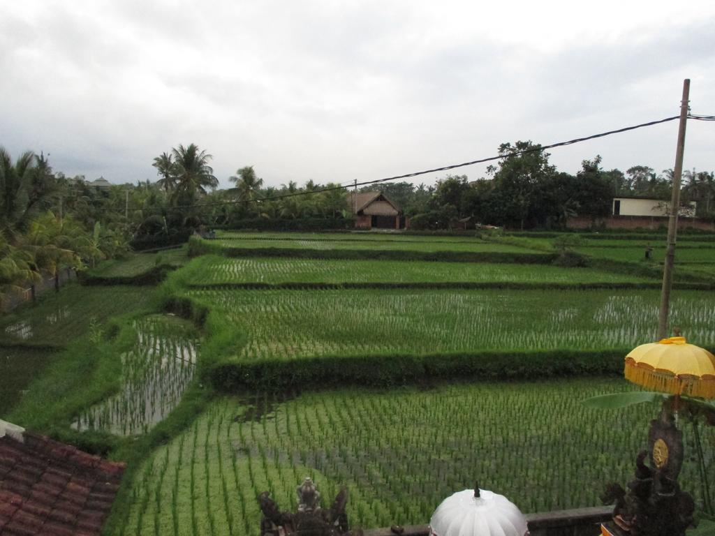 Ancut Sari Hotel อูบุด ภายนอก รูปภาพ